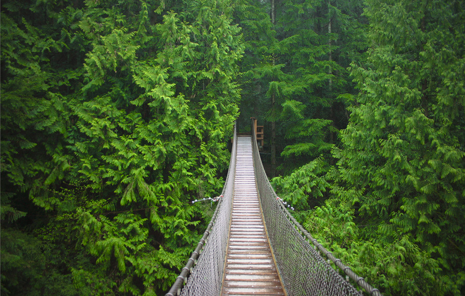 Vancouver bridge